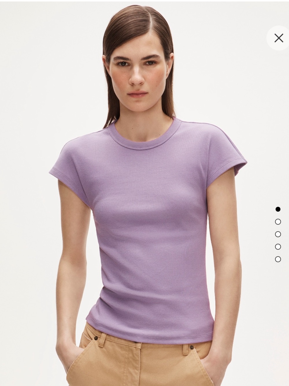 J.Crew Purple Ribbed Dolman Sleeve T-Shirt Top 2X